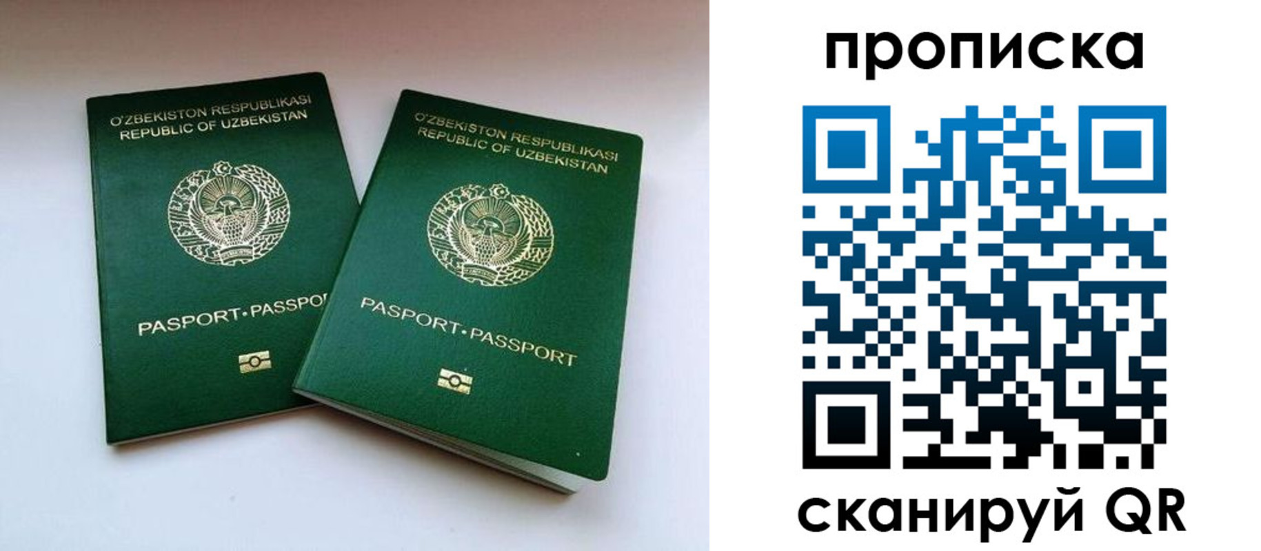 прописка поиск в Калтане
